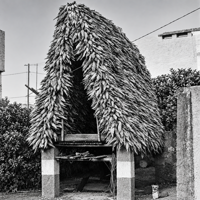 "Burra de Milho": A Heritage of the Azorean Rural Landscape