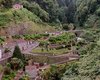 Nordeste - Achada - Ribeira dos Caldeirões