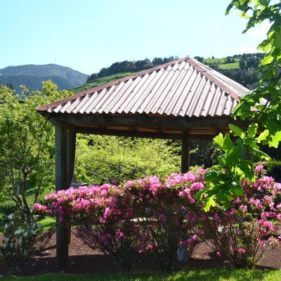 Ponta da Madrugada and Ponta do Sossego Viewpoints in Nordeste, São Miguel
