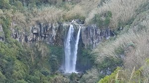 "Salto da farinha"