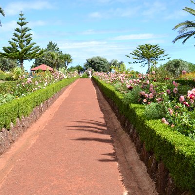 Máximo São Miguel com mínimo esforço.