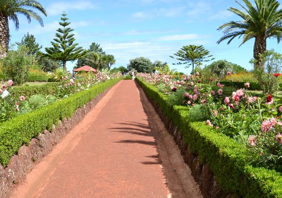 Máximo São Miguel com mínimo esforço.